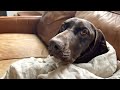 Tundra's Habits and Activities