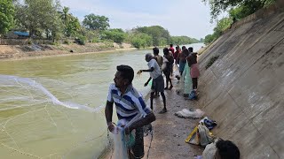 🎣💥Mass Fish Catching in the Dam! | Cast Net Fishing by Locals | fishing video | village fishing🌏🐠