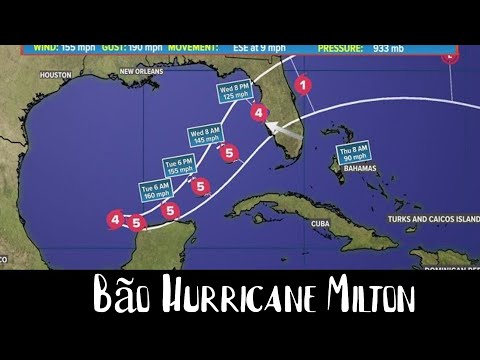 Chuan Bi Cho Bao Milton.  Ready for Hurricane Milton in Florida