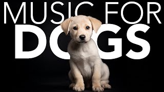 10 HOURS of Dog Relaxing Music 💖🦮 Stress Relief Dog Music: Soothing Sounds for Deep Sleep