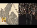 Pull-Up Form and Muscle Engagement