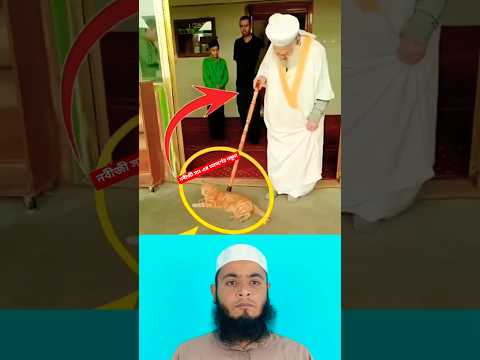 নবীজী সাঃ এর আদর্শ কেমন ছিলো দেখুন 🥰 #shorts #trending #viralvideo