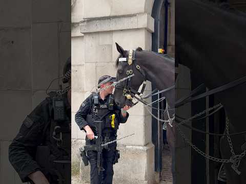 "An Unforgettable Connection: Armed Guard and Regal Horse Share a Sweet Moment!" #Shorts