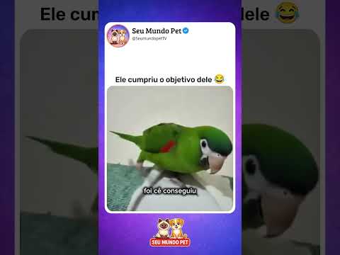 Ele confirmando 😂 #animal #br #brasil #shortsvideo #cachorro #gato #humorbrasil #animalshorts