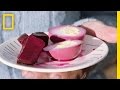 Pickling Eggs Process and Techniques