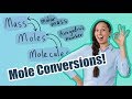 Mole Conversion Mastery Challenges
