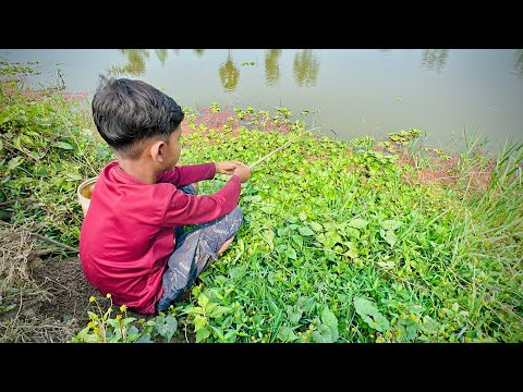 Best Fishing Video 2025✅Little Boy hunting fish by fish hook From beautiful nature🥰🥰Part 127