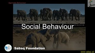 Social Behaviors