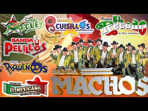 Banda Mix 2025 - Las Mejores Canciones de la Banda ll Banda Machos, El Mexicano, Maguey, Pelillos