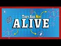 Understanding Viruses