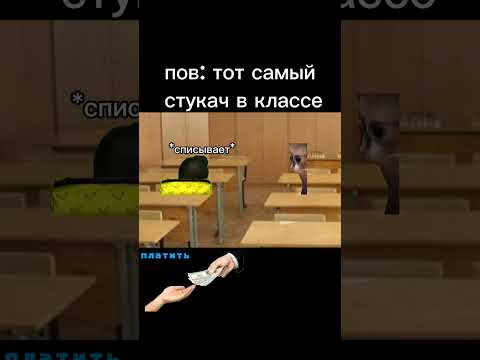 Пов: тот самый стукач 💀#cats #memes #shorts