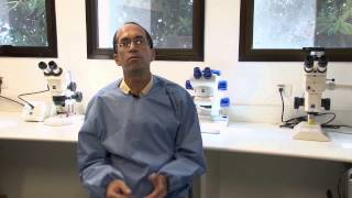 Módulo 10 | Novas Alternativas de Controle do Vetor