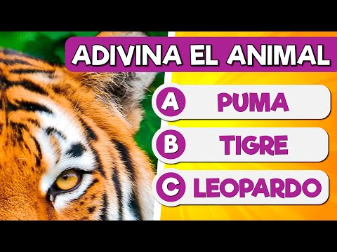 Adivina el ANIMAL con ZOOM 🐢🔍 Test de Animales 🐯🦜