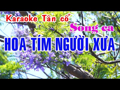 Karaoke tân cổ HOA TÍM NGƯỜI XƯA – SONG CA