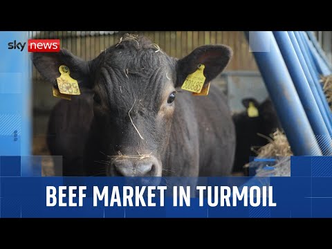 YouTube video thumbnail: The Beef Market is in Turmoil - and it's Affecting British Farmers and Consumers Alike