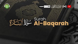 Tadabbur Surah Al-Baqarah (سورة البقرة) | Beautiful Quran Recitation
