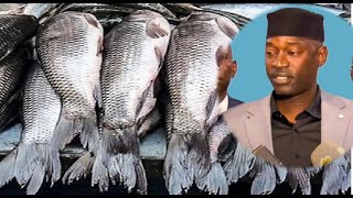 Taux de mercure dans les poissons importés:  El H Mady Faye  DITP dément et apporte des précisions.