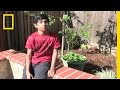 California Geography and Natural Features
