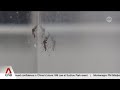Dengue Prevention and Wolbachia Strategies