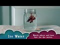 Exploring Changes in Matter