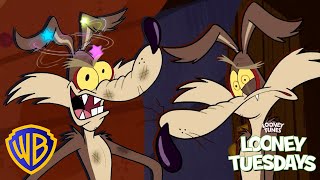 Wile E. Coyote CRASHES OUT on Road Runner! 😤 | Looney Tuesdays | #kidscartoons @wbkids