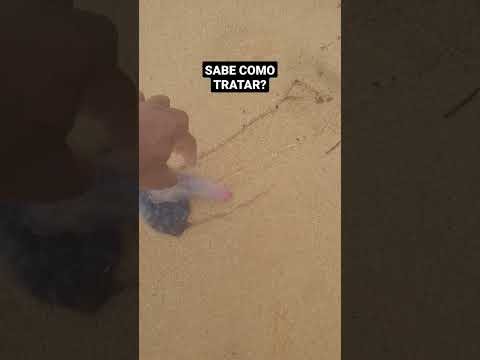 PARECE UMA BEXIGA MAS QUEIMA MUITO!