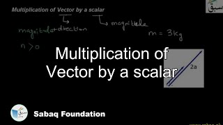 Multiplication of Vector by a scalar