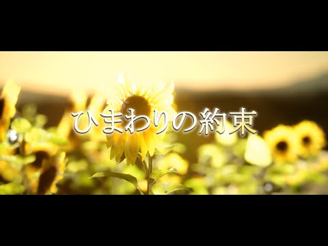 ひまわりの約束 / covered by #栗駒こまる【#歌ってみた #あおぎり高校】