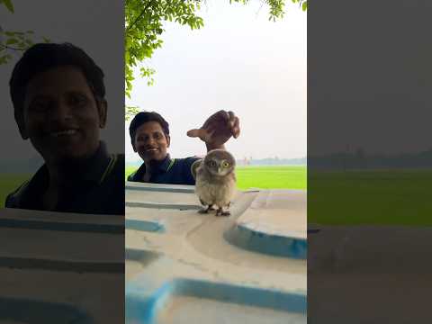 এটা আবার কি পাখির বাচ্চা হয় #minivlog #vlog