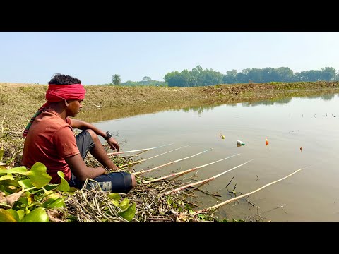 Amazing Koi Fish Hook Fishing in River #fishing