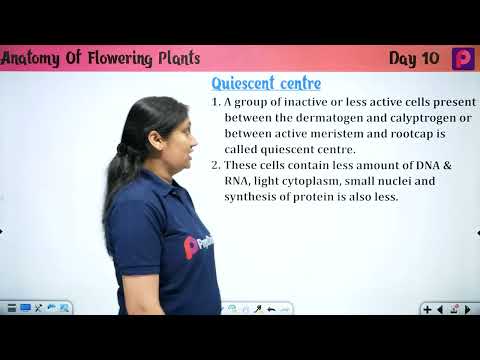 Day 10 Anatomy Of Flowering Plants - NEET Most wanted Series by pooja mam