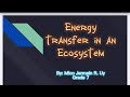 Energy Flow in Ecosystems