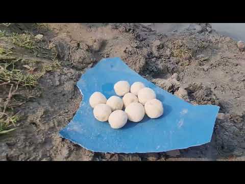 Amazing Big Fish Hook Fishing in River