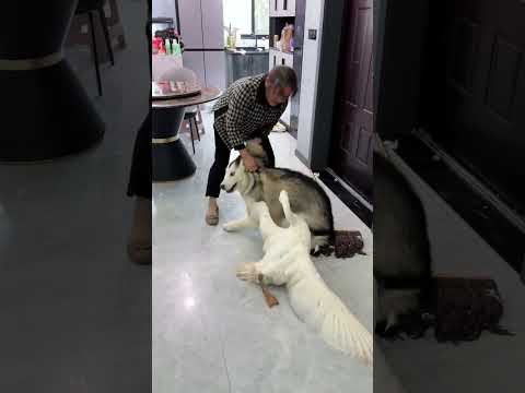 If you don't accept it, just do it ๐ฅ P34