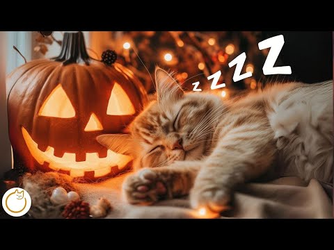 Music for Cats -  Healing Cat Music Melodies 🐱💤