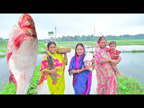 4 kg ওজনের সিলভার মাছ কেটে মাছের ঝাল, মাছের পেটি ভাজা আর মাছের মাথা দিয়ে কচু রান্না আর খাওয়া