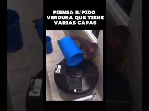 La cebolla