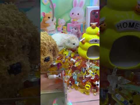 This Claw Machine Is Totally Insane Part 27 #clawmachine #arcade