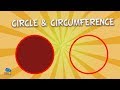 Circle Elements and Properties