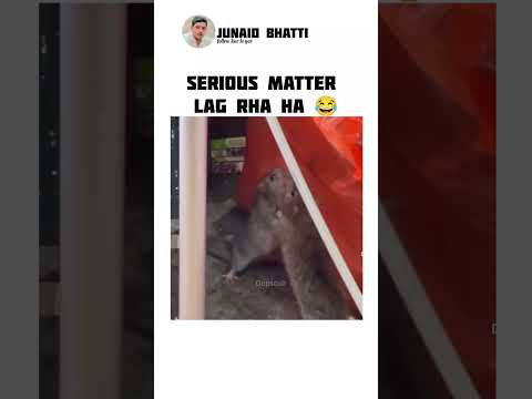 SERIOUS MATTER Laga Raha hai 😂 #funny #comedymovies #funnyvideos #comedy