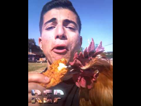 man had opps before death ☠️ | #shorts #chicken #friedchicken #eatachickeninfrontofachicken #edit