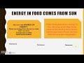 Energy and Ecosystem Concepts