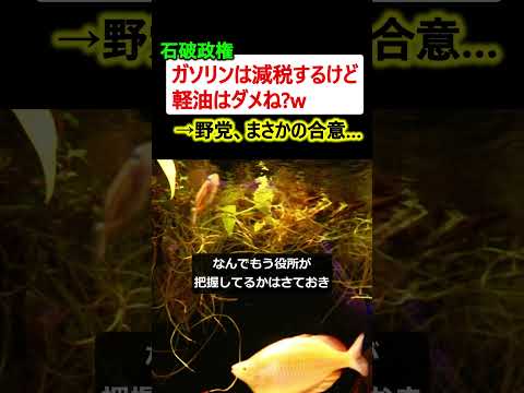 【は?】石破政権「ガソリンは減税するけど軽油はダメねw」→野党、まさかの合意…