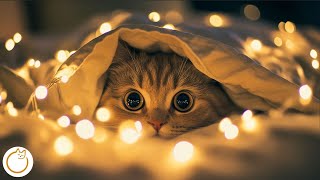 Peaceful Cat Music - Overnight Sleep Lullabies for Cats 💤🐱 [9 HOURS]