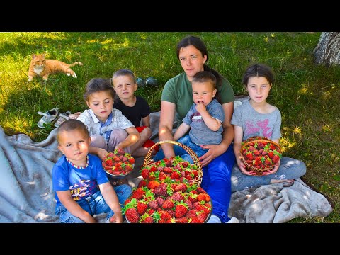 This Family’s Simple Life Far from Civilization Attracted Millions of Global Viewers!