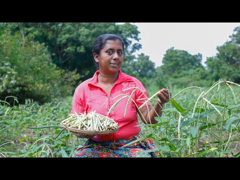 cowpea fried rice / I made cowpea  in a way that anyone would want to eat/ village kitchen recipe