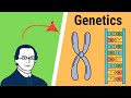 Understanding Mendelian Genetics