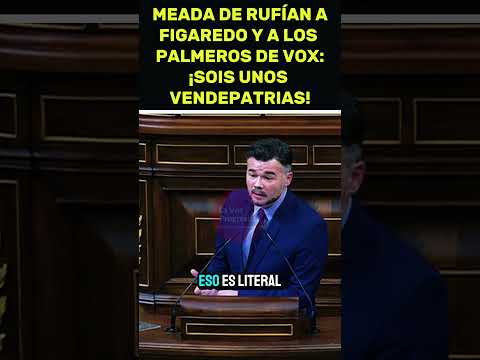 💥 MEADA de Rufián a los PALMEROS de VOX: ¡Sois unos VENDEPATRIAS!