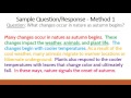 Expository Paragraph Writing Techniques