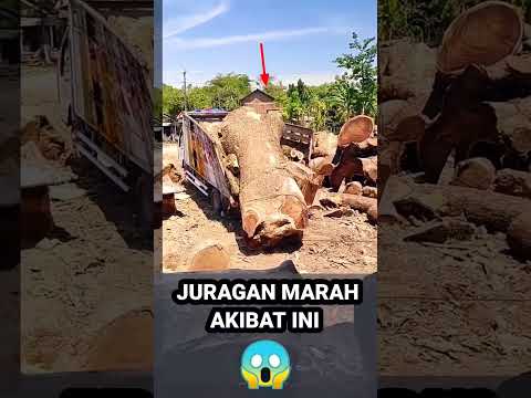 BIKIN TRUK REMUK juragan pasti marah